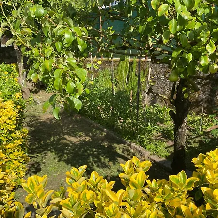 Casa De Vilar Prázdninový dům Caminha