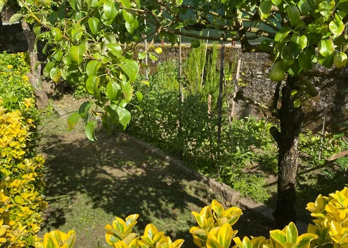 Casa De Vilar Prázdninový dům Caminha