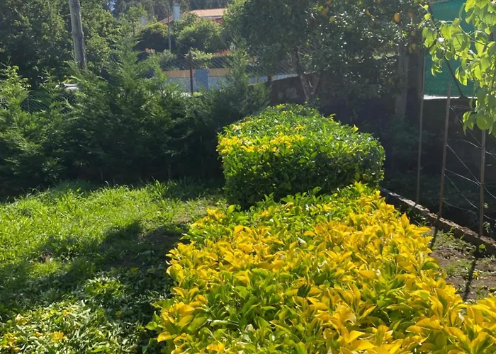 펜션 Casa De Vilar